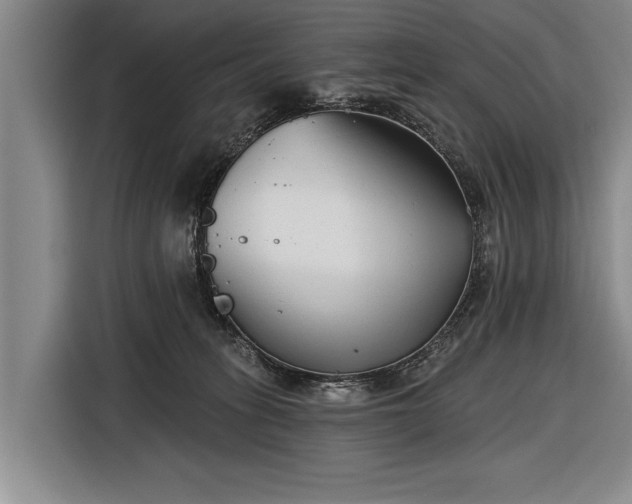 X0000116670275200912211609