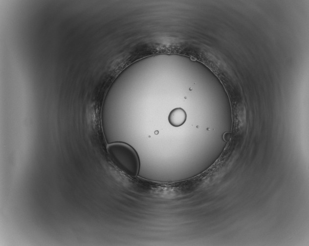 X0000116670276200912211609