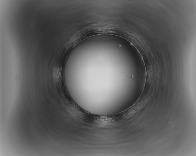 X0000116670278200912211609