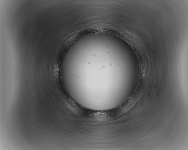 X0000116670279200912211609