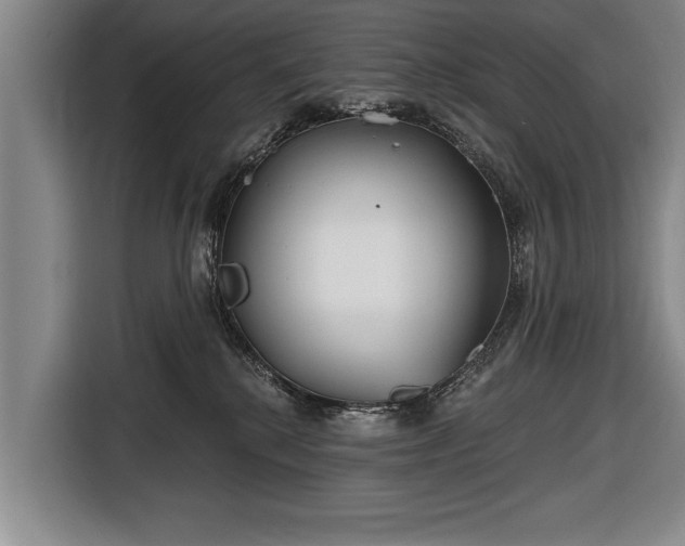 X0000116670280200912211609