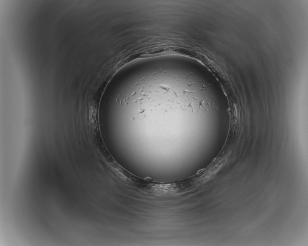 X0000116670281200912211609