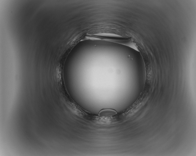 X0000116670282200912211610