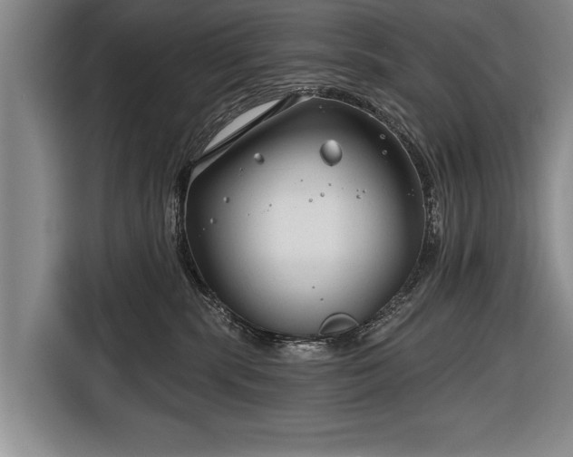 X0000116670283200912211610