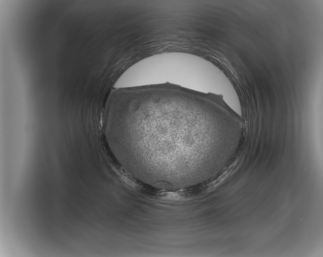 X0000116670285200912211610