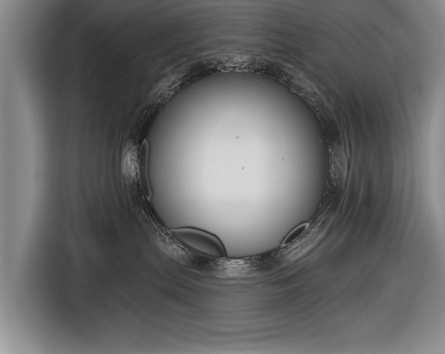 X0000116670287200912211610