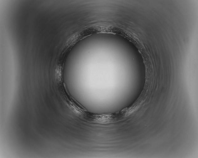 X0000116670288200912211610