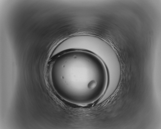 X0000116670289200912211609