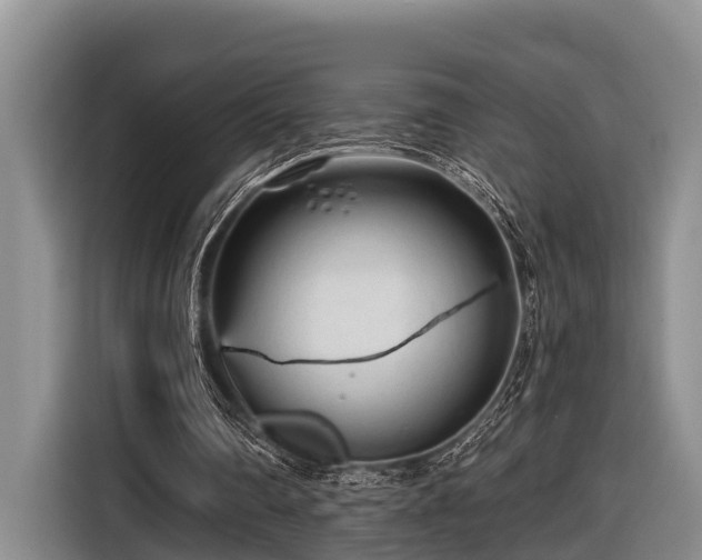 X0000116670290200912211609