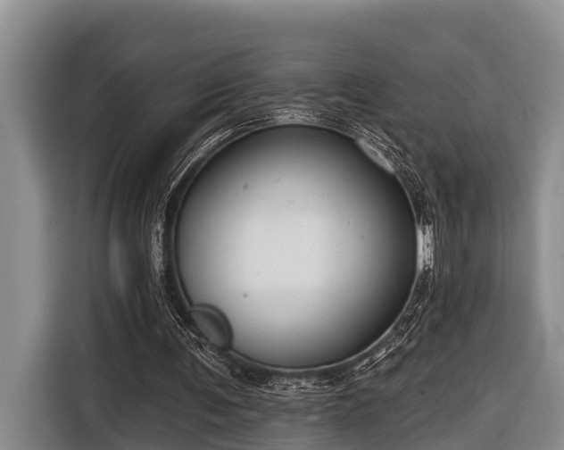 X0000116670291200912211609