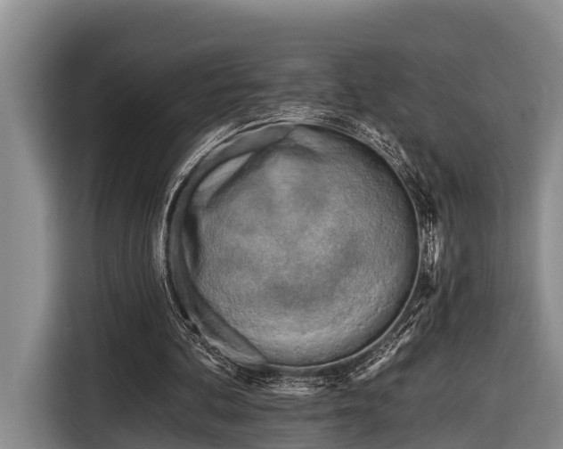 X0000116670292200912211609