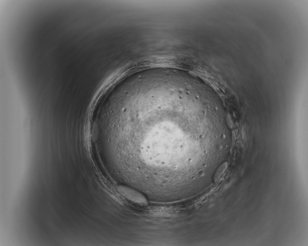 X0000116670293200912211609