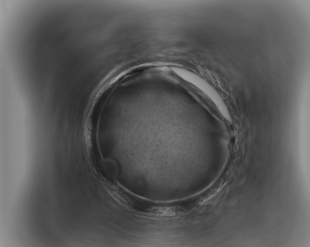 X0000116670295200912211609