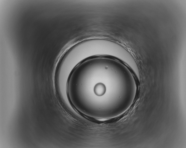 X0000116670296200912211609