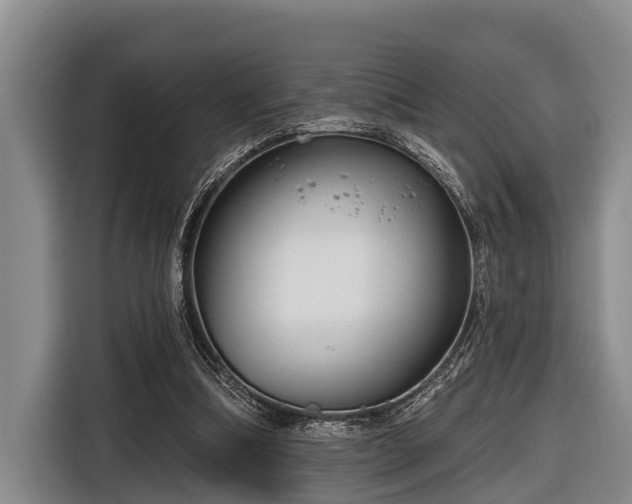 X0000116670298200912211609