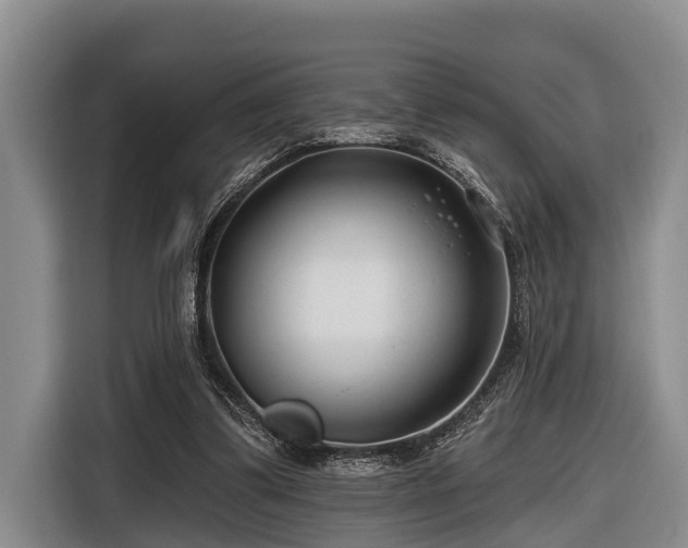 X0000116670299200912211609