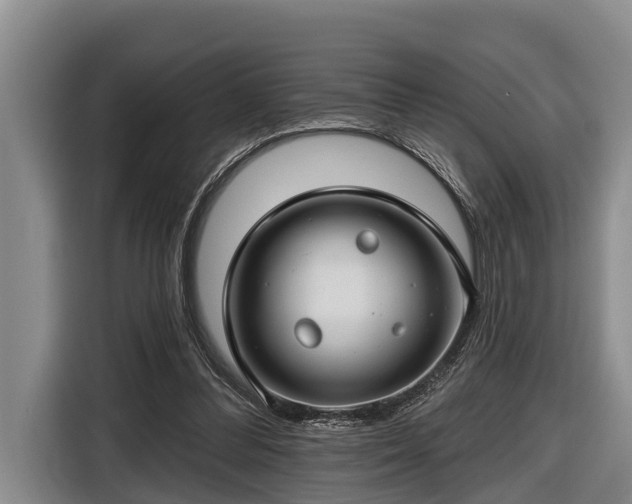 X0000116670300200912211609