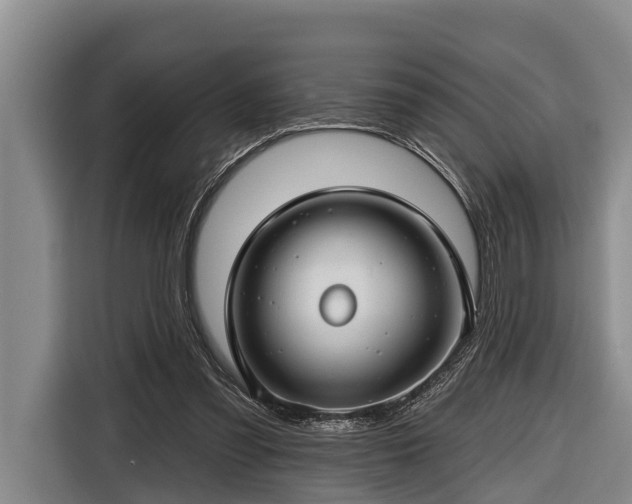 X0000116670301200912211609