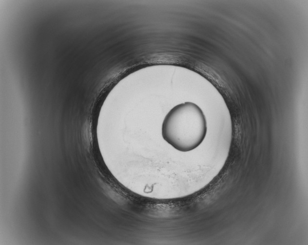 X0000116670302200912211609