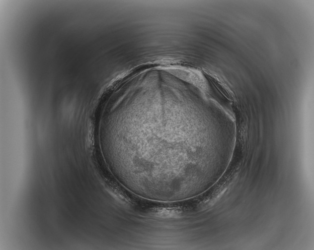 X0000116670303200912211609