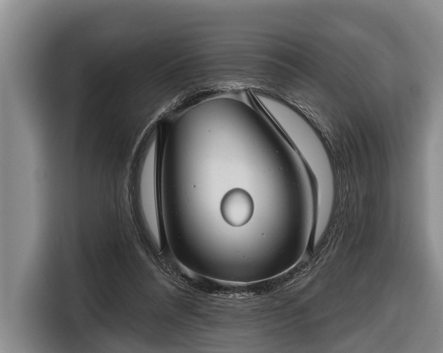 X0000116670304200912211609