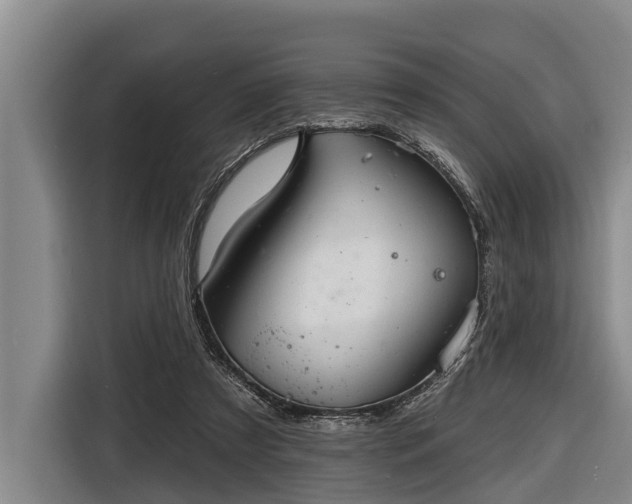 X0000116670305200912211609