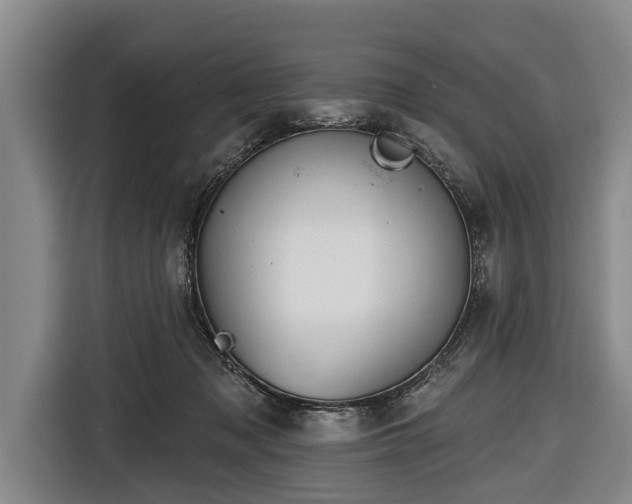 X0000116670317200912211609