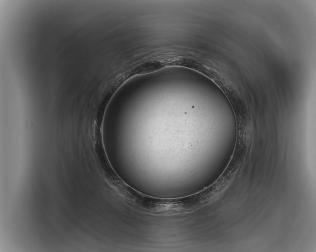 X0000116670319200912211609