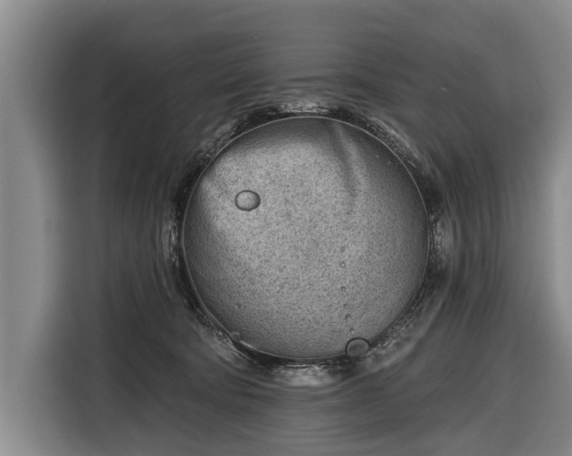 X0000116670322200912211609