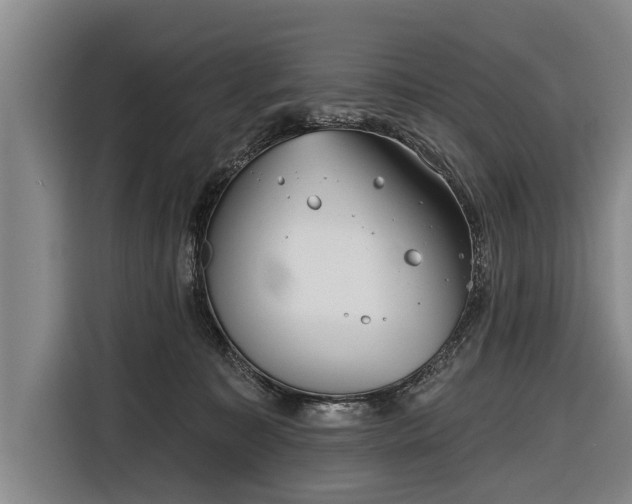 X0000116670323200912211609