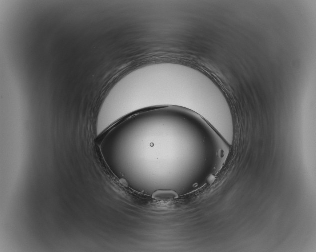 X0000116670325200912211609