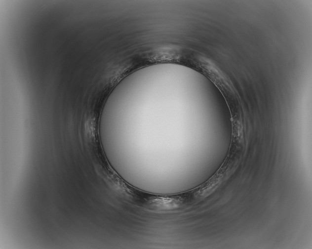 X0000116670326200912211608