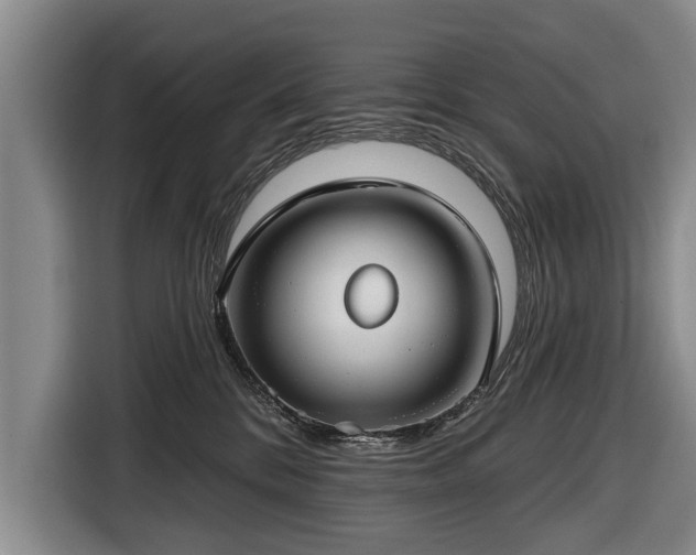 X0000116670328200912211608