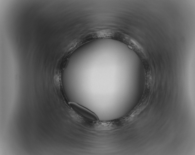 X0000116670329200912211608