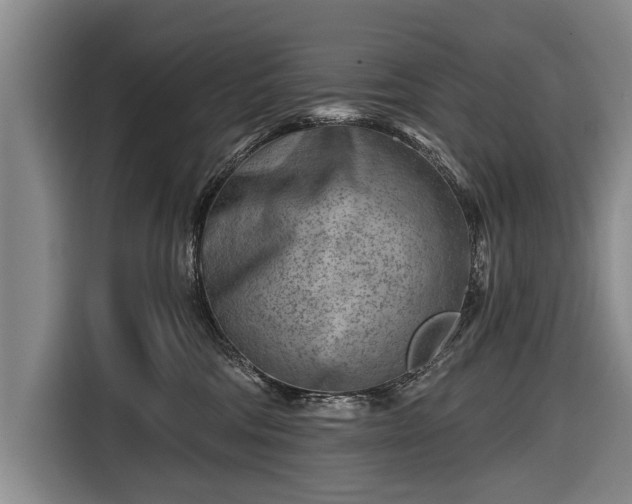 X0000116670330200912211608