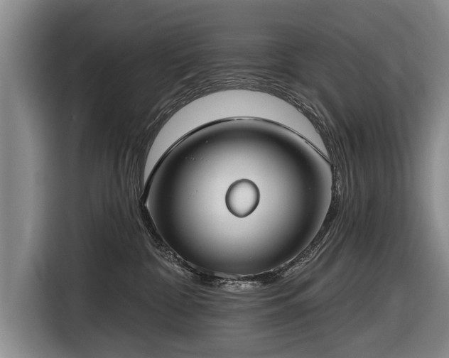 X0000116670332200912211608