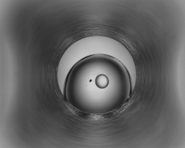 X0000116670333200912211608