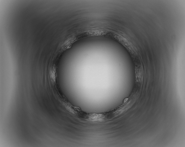 X0000116670334200912211608