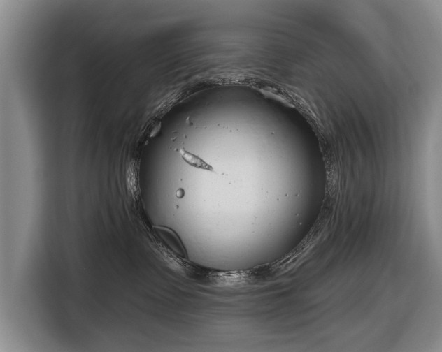 X0000116670335200912211608