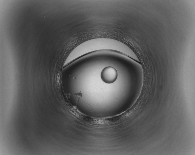 X0000116670336200912211608