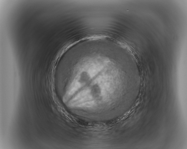 X0000116670337200912211608