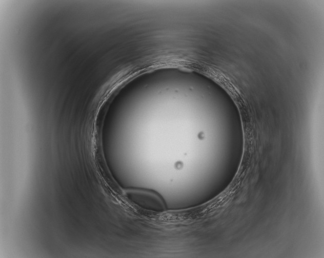 X0000116670338200912211608