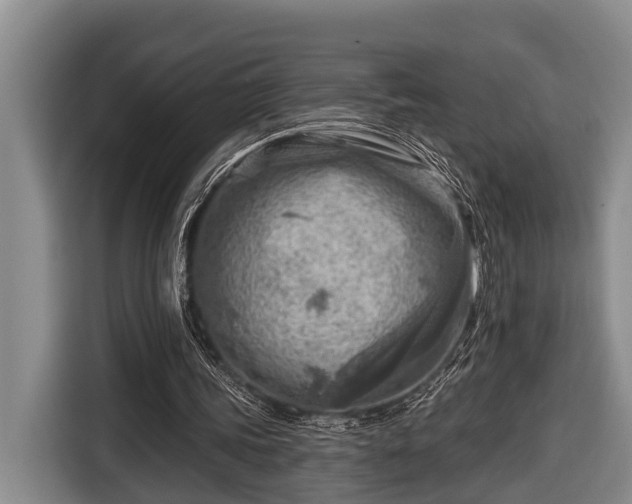 X0000116670339200912211608