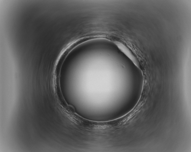 X0000116670342200912211608