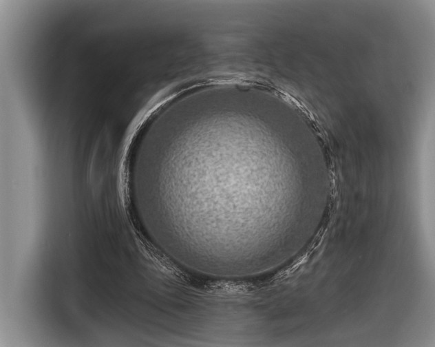 X0000116670343200912211608