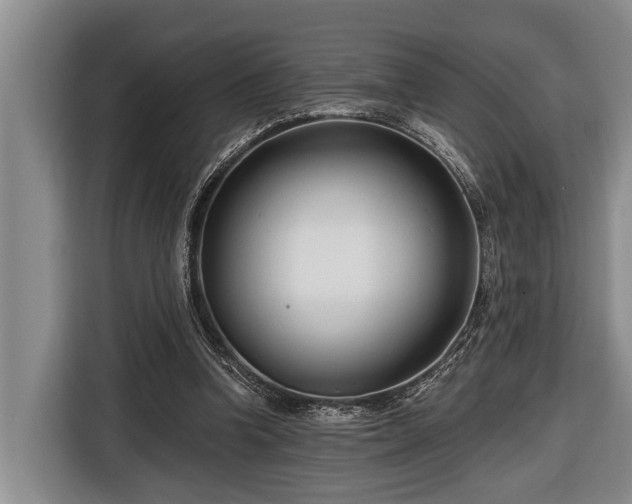 X0000116670346200912211608