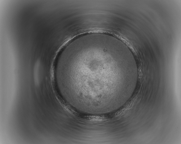 X0000116670347200912211608