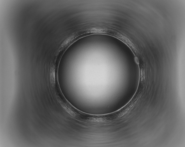 X0000116670349200912211608