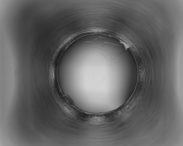 X0000116670350200912211608