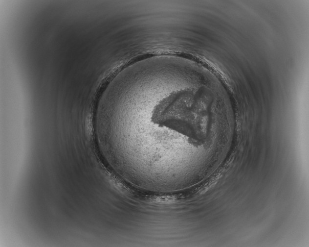 X0000116670353200912211608